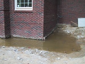 Arizona Total Home Restoration - Mesa, AZ - Standing water outside foundation can cause mold in your home