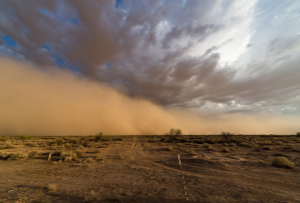 Arizona Monsoon Season - Arizona Total Home Restoration - Gilbert, AZ - Desert Dust Storm